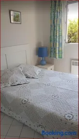 Soleil du Sud - Image 4