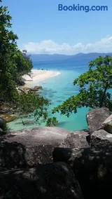 ZenCBD, Hidden Gem - Image 1