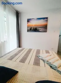 Róża Wiatrów Leśny Klif - Image 2