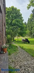 Ferienwohnung Wiesmoor - Ranch - Image 1
