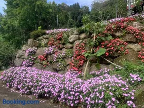 鳳仙花民宿 - Image 2
