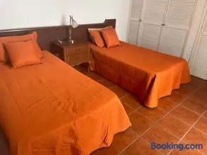 Villita en la floresta - Image 3