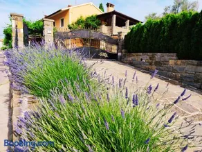 Apartment Wine & Olive oil Mofardin - Image 1