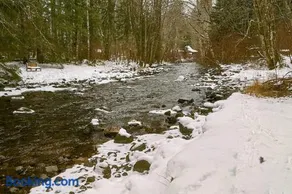 Riverfront Luxury Cabin-Hot Tub-EV-Deluxe Kitchen - Image 5