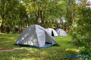 The Apiary Mountain Camp and Farm - Image 4