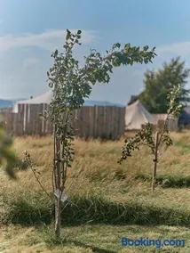 Tomnauld Farm - Image 4