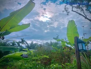 Khaosok Eco House - Image 4