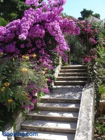Ancila - Image 3