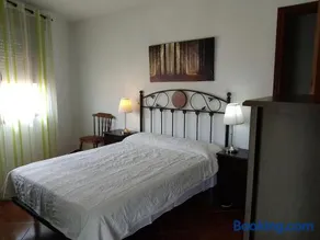EL VIEJO OLMO - Image 3