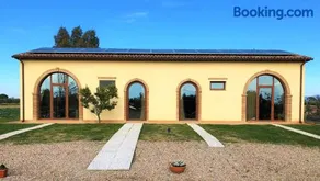 Il Grano Di Bramante - Image 2