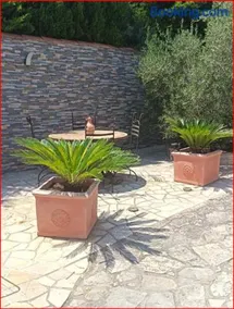 Suite Chalet haut de gamme, parking à Marseille - Image 3