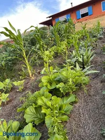 Casinha em Membeca - Image 4