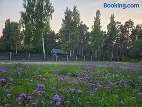 Kolkas pirtsmāja Piekrastes - Image 3