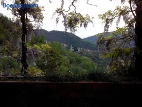 B&B I Glicini - Image 1