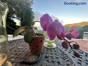 Casita Orquidea - Image 2