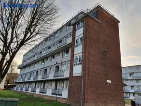 Exclusive rooms - Image 5