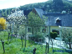 Pension am Weinberg - Image 3
