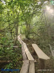 Off-grid forest glamping - Image 4