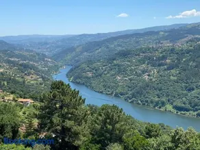Mira Douro Valley Home - Image 5