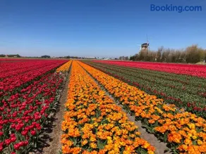 De Zwarte Ruiter - Image 2