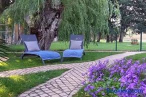 Grand studio lumineux, entièrement rénové avec jardin - Image 1