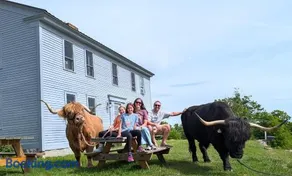 Cozy Heritage Suite for Two - With Highland Cattle - Image 3