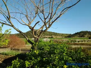 Casa Rural Torre Gargallo - Image 3