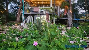 Pickles Place is a Stacked container home in the Texas Hill Country this space is surrounded by giant Elm trees lush greenery across the street from the San Gabriel river one double bed full size shower & full kitchen plus BBQ pit & flategrill - Image 1