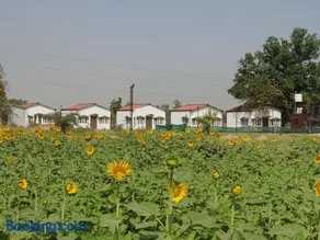 Living Green Farms - Image 1