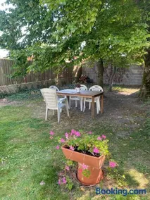 Au soleil du Der - Image 2
