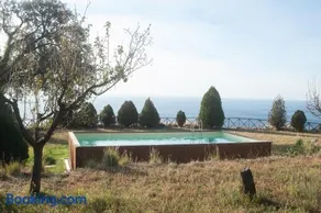 Sopra il Limoneto - Image 1