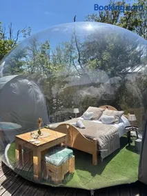 Bulle transparente - Image 2