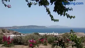 Stella's Home - Image 1