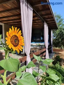 Hakuna Matata Holidays Agalia with airco & pool in Greek Olive Grove - Image 5