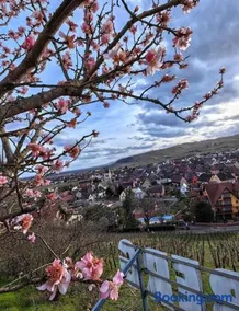 Le Haut Standing - Image 2