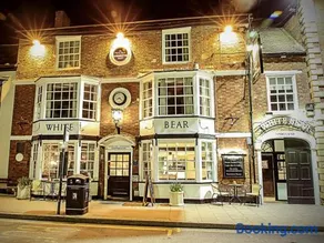 The White Bear - Image 1