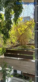 Gulmohar - Image 3