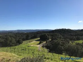 Dunning Vineyards Guest Villa - Image 1