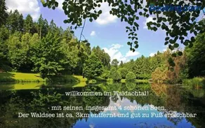 TheWoodenStack - Image 4
