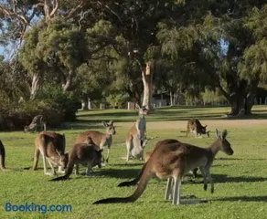 Eastern Hill Creswick - Image 4