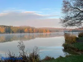 Tó Kincse Vendégház - Image 3