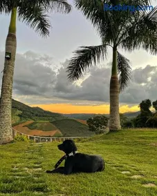 Sítio Nicolau - Maravilhoso sítio nas Montanhas em Domingos Martins! - Image 3