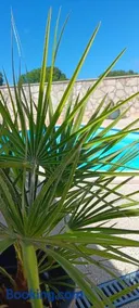 Villa Zara - Image 3