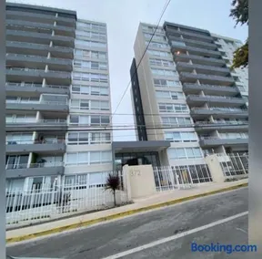 Monkey Guest Apartment - Image 3