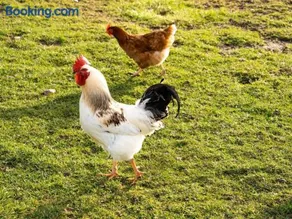 Ruralholidays - Image 2