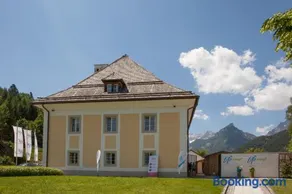 Life Camp - Image 3