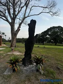 Fazenda Raiz da Serra - Image 2