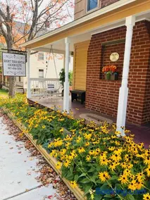 Homesteading at 55 main - Image 2