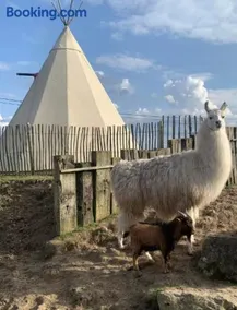 Le tipi d'Adri - Image 2