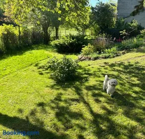 Bella's Eden - Image 2